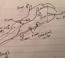 BMW 2000c center console diagram