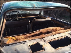 1966 BMW 2000c close up of rear window area and vandalism